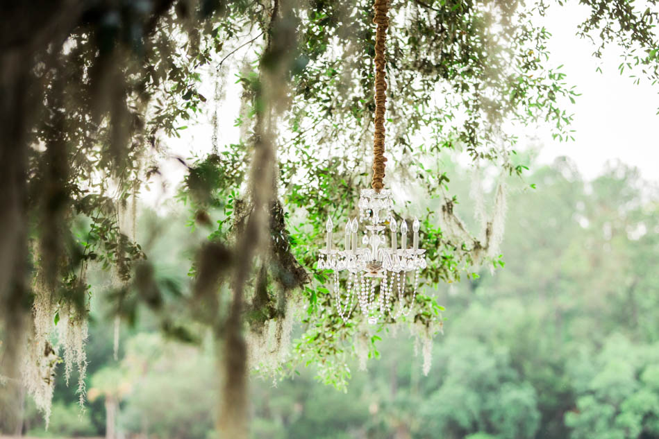 Chandelier hangs from oak tree, Dunes West Golf and River Club, Mt Pleasant, South Carolina. Kate Timbers Photography. http://katetimbers.com