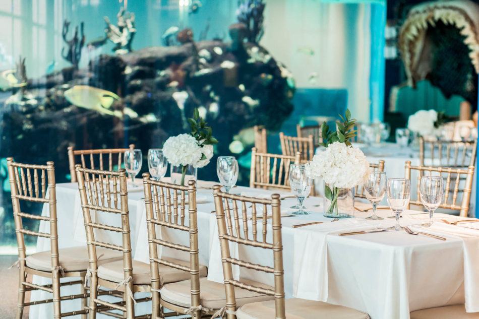 Gold and blue accents are used in reception decor, South Carolina Aquarium. Kate Timbers Photography. http://katetimbers.com