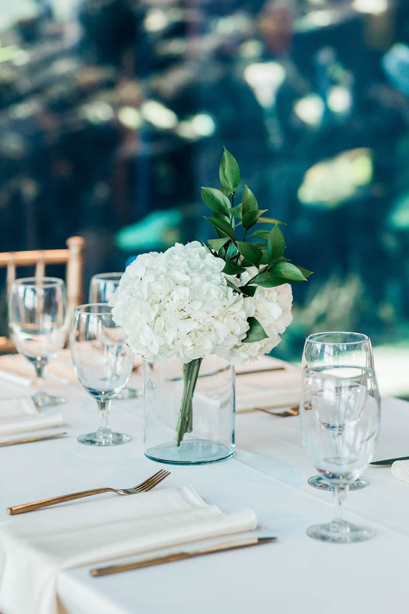 Gold and blue accents are used in reception decor, South Carolina Aquarium. Kate Timbers Photography. http://katetimbers.com