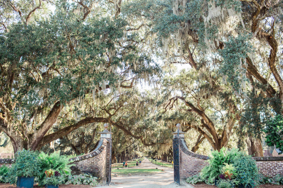 Gate opens to the avenue of oaks, Boone Hall Plantation, Charleston, South Carolina. Kate Timbers Photography. http://katetimbers.com