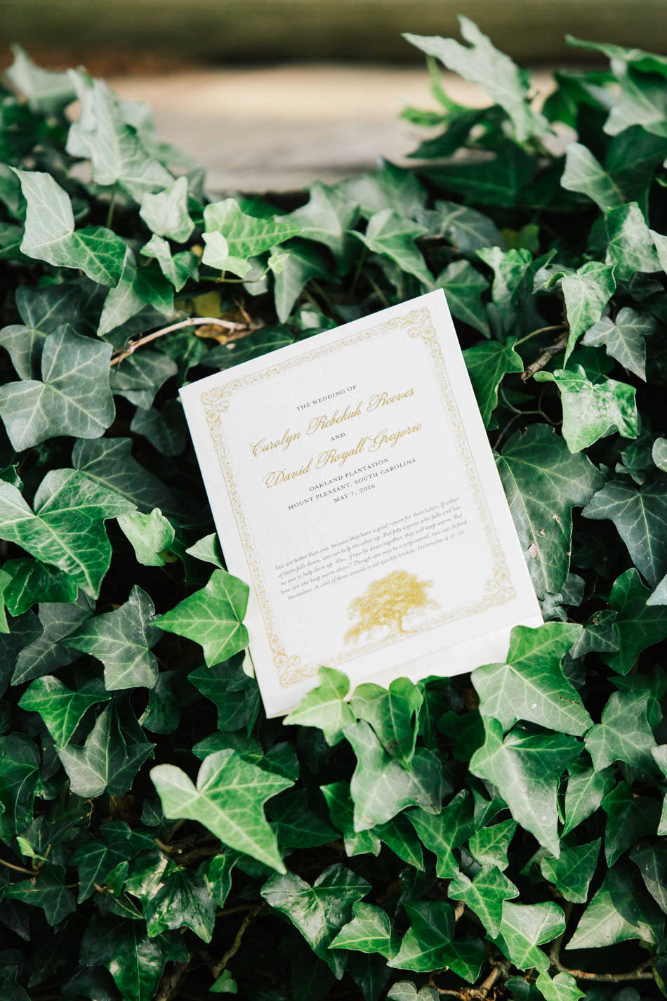 Wedding program rests in ivy, Oakland Plantation, Mt Pleasant, South Carolina Kate Timbers Photography. http://katetimbers.com #katetimbersphotography // Charleston Photography // Inspiration