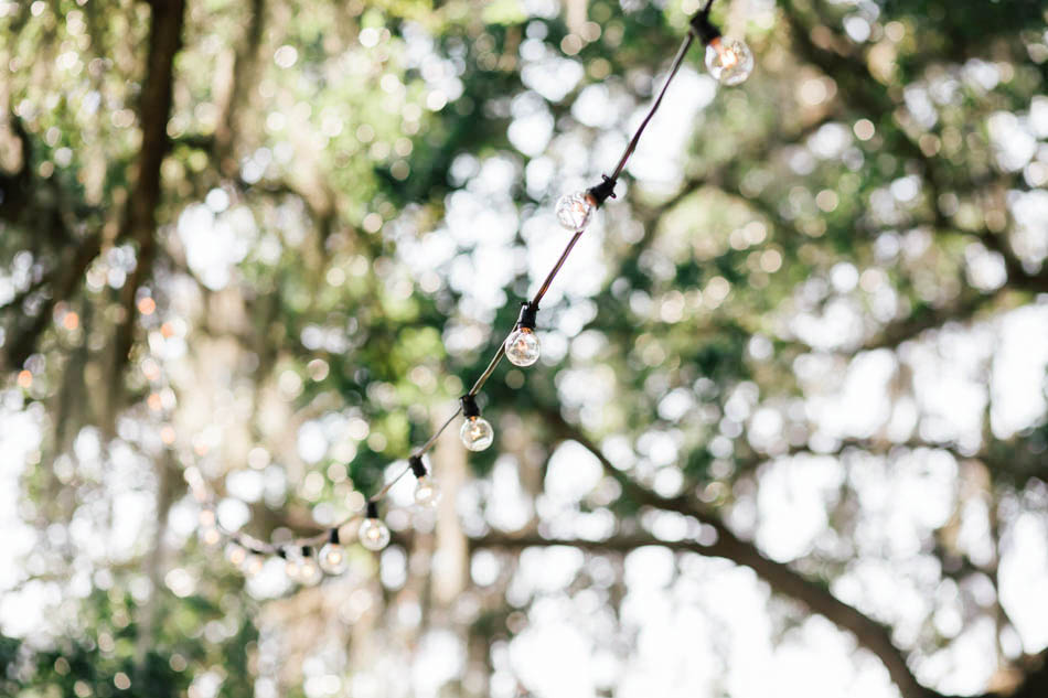 Lights are strung on oak tree, Oakland Plantation, Mt Pleasant, South Carolina Kate Timbers Photography. http://katetimbers.com #katetimbersphotography // Charleston Photography // Inspiration