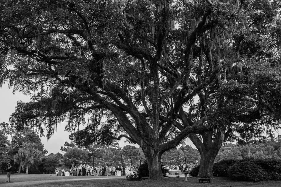 Guests dance at reception under oak tree, Oakland Plantation, Mt Pleasant, South Carolina Kate Timbers Photography. http://katetimbers.com #katetimbersphotography // Charleston Photography // Inspiration