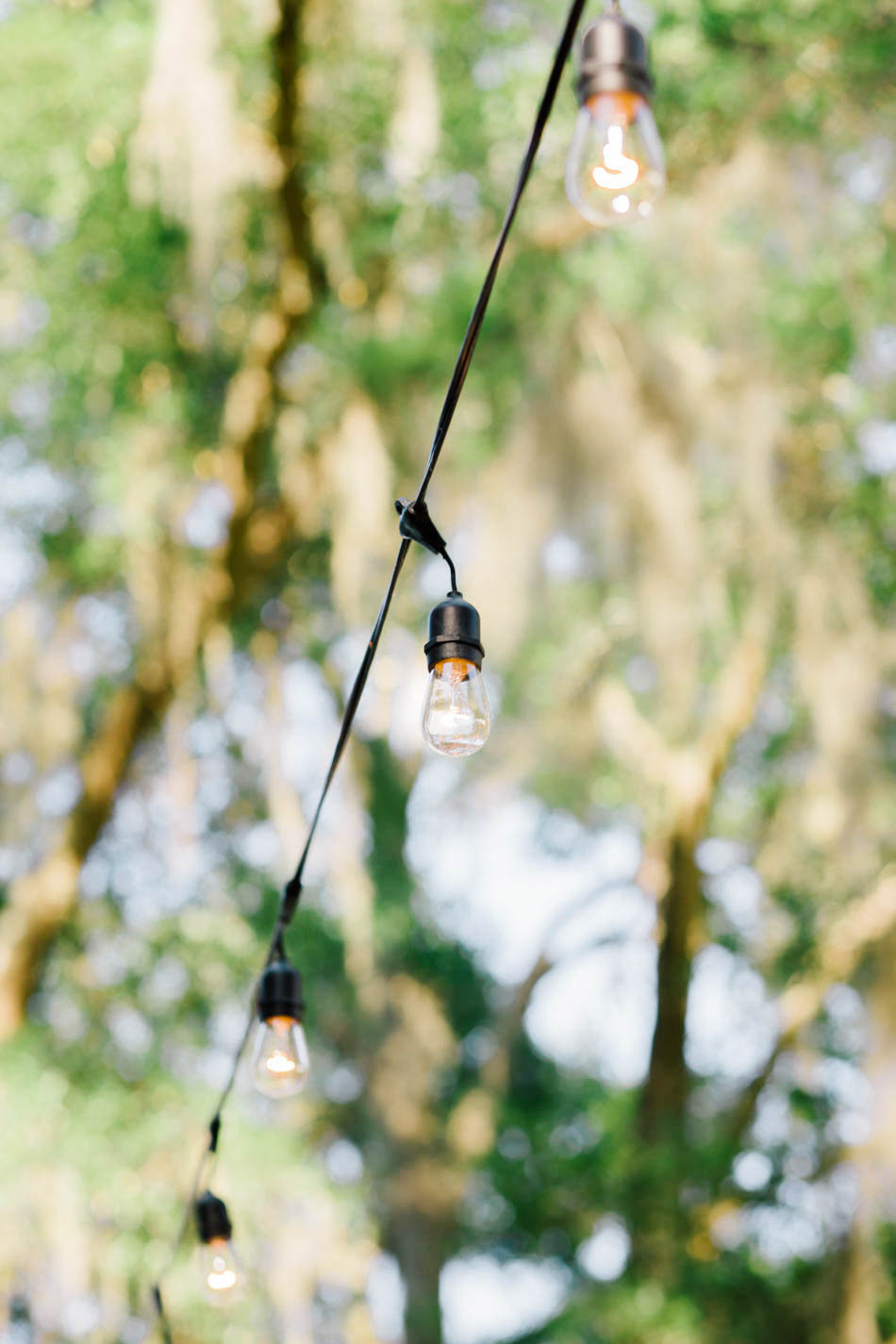 Lights hang over the reception, Wadmalaw Island, South Carolina Kate Timbers Photography. http://katetimbers.com #katetimbersphotography // Charleston Photography // Inspiration