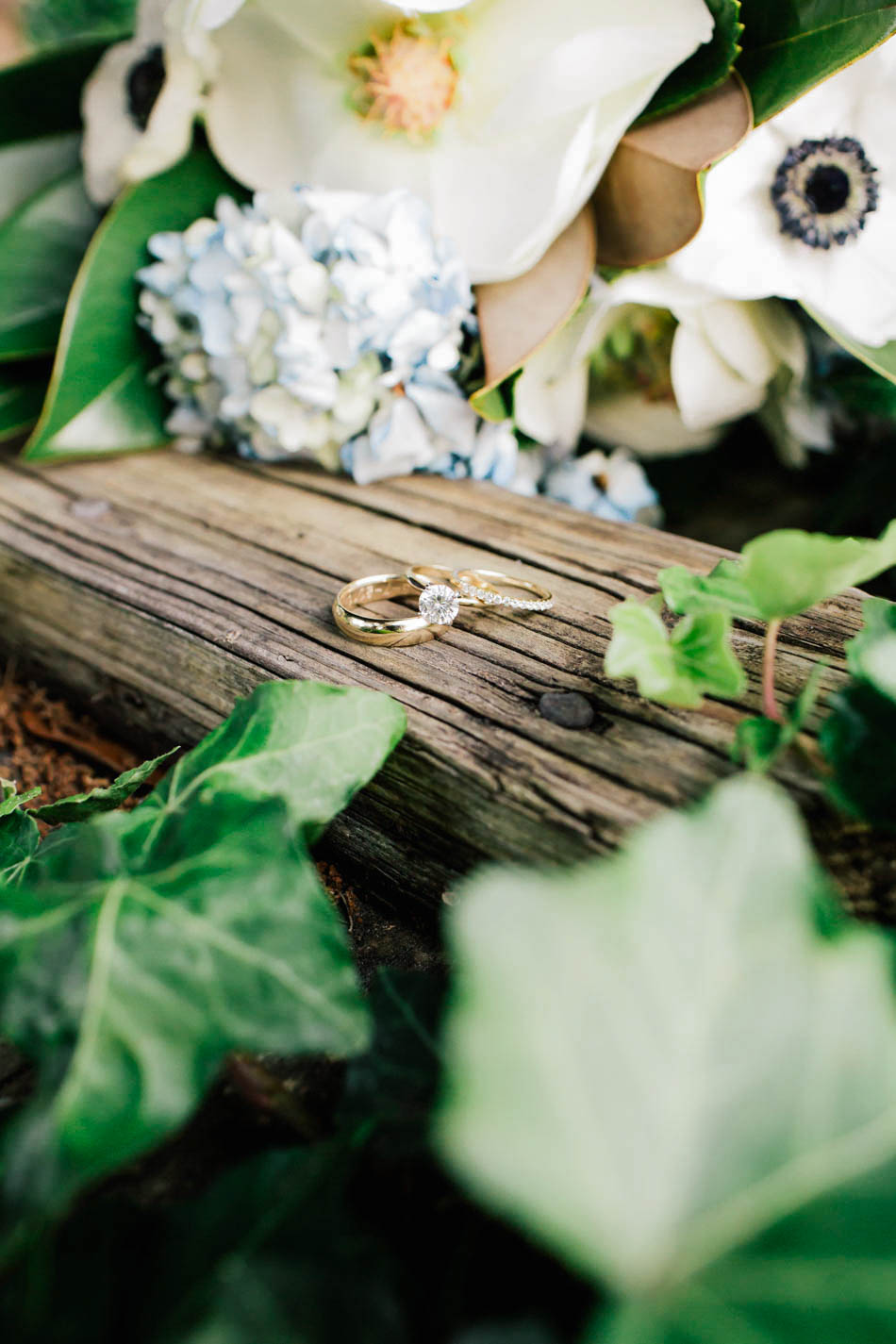 Rings rest on wood plank among ivy, Oakland Plantation, Mt Pleasant, South Carolina Kate Timbers Photography. http://katetimbers.com #katetimbersphotography // Charleston Photography // Inspiration