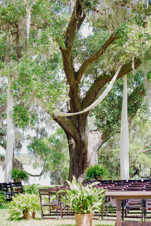 Sashes are draped over oak tree, Old Wide Awake Plantation, Charleston, South Carolina. Kate Timbers Photography. katetimbers.com