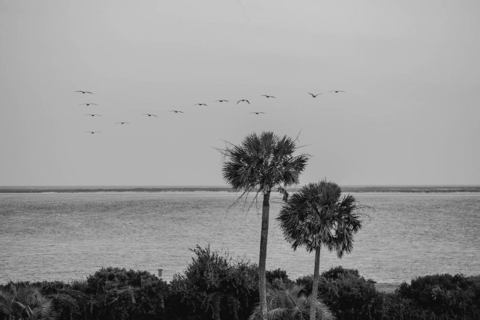 Birds fly over ocean, Seabrook Island Club, Charleston, South Carolina. www.katetimbers.com
