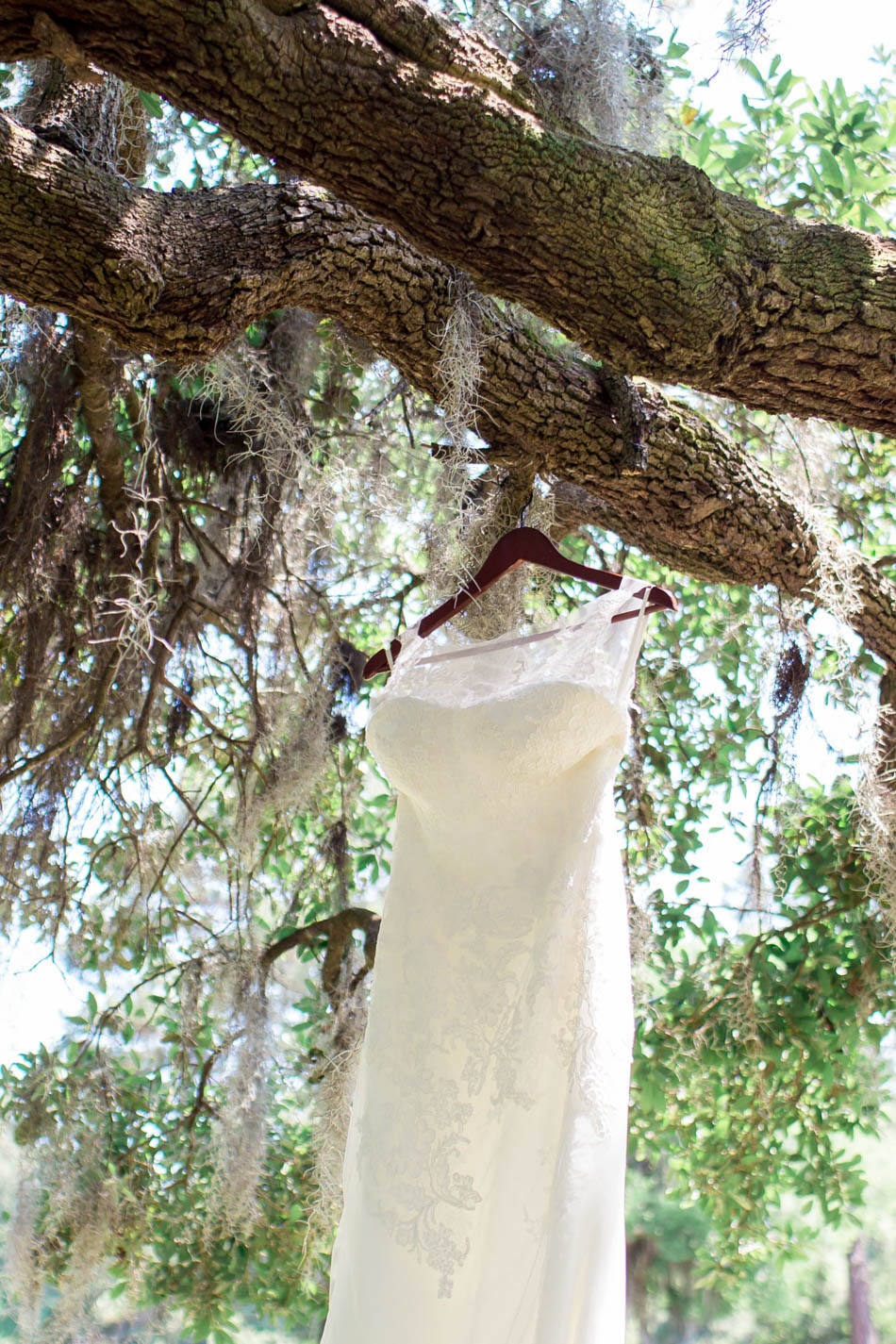 Wedding dress hangs from oak tree, Oakland Plantation, Mt Pleasant, South Carolina Kate Timbers Photography. http://katetimbers.com #katetimbersphotography // Charleston Photography // Inspiration