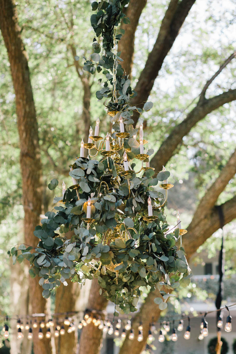 Chandelier is decorated with vines, Wadmalaw Island, South Carolina Kate Timbers Photography. http://katetimbers.com #katetimbersphotography // Charleston Photography // Inspiration