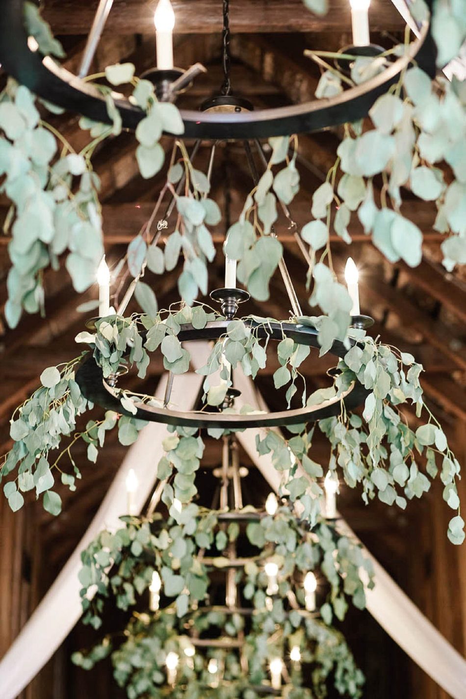 Leaves are hung on chandeliers, Magnolia Plantation, Charleston, South Carolina Kate Timbers Photography. http://katetimbers.com #katetimbersphotography // Charleston Photography // Inspiration